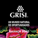Grisi Internacional 2020 APK