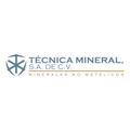 Técnica Mineral