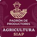 Padrón de productores