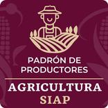 Padrón de productores