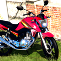 MX Bikes BR