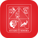 Salud Sonora APK