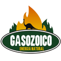 GasoZoico