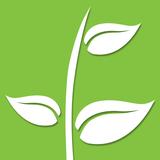 ecoFactura 4.0 APK