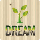 Dreamdecoration.com.my आइकन