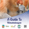 Kinabatangan Travel Guide