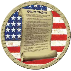 US Constitution Bill of Rights APK download