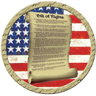 US Constitution Bill of Rights icono