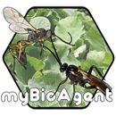 MARDI myBioAgent APK