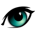 See All