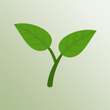 My Plant