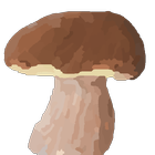 Mushroom Identification 圖標