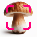 Mushroom Identification APK