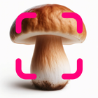 Mushroom Identification biểu tượng