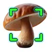 Mushroomizer