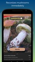 Mushroom Identification Ekran Görüntüsü 1