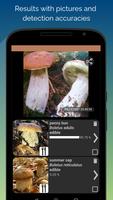 Mushroom Identification تصوير الشاشة 2