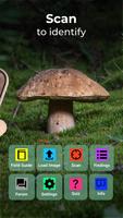 Mushroom Identification ảnh chụp màn hình 1