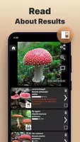 Pilze per Foto bestimmen Screenshot 2