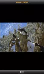 My VODOBOX Flash Server アプリダウンロード