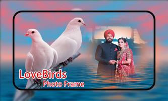 Love Birds Photo Frames Affiche