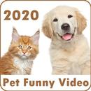 Full Screen Funny Pet Videos - Animals Pet Videos APK