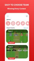 Dream Team Prediction & Team11 Tips پوسٹر