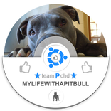 Mylifewithapitbull.Tpchd