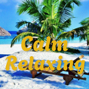 Calm Relaxing Music Radio APK