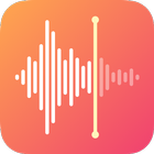 Voice Recorder & Voice Memos آئیکن