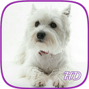 Cute puppy, Dog baby live wallpaper HD APK