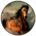 Running Horse Wallpaper HD icône