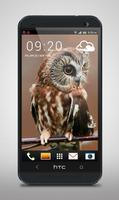 Mysterious Owl Live Wallpaper ポスター