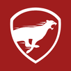 Leo VPN APK