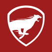 Leo VPN