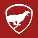 Leo VPN APK