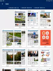 download FVN eAvis XAPK