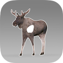 Animal vitals for hunters APK