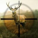 Hunting Simulator APK