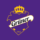 Grüner Ishockey آئیکن