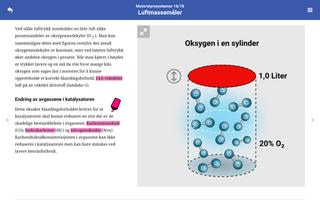 Bilfag - Lette kjøretøy screenshot 2