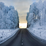 RoadWeather APK