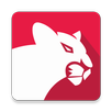 WattCat APK