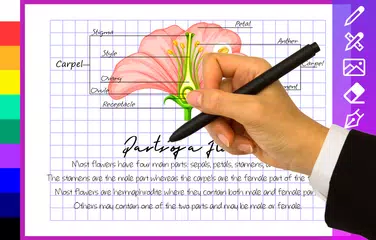 Digital planner: writing notes XAPK download