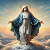 Novena Virgen M. Milagrosa icon