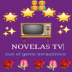 NOVELAS APK