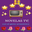 NOVELAS APK