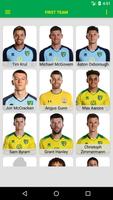 Norwich Canaries 截图 3