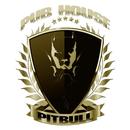 Rádio PitBull SL APK
