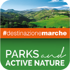 Parks and active nature icon